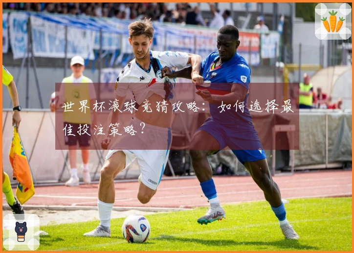 世界杯滚球竞猜攻略：如何选择最佳投注策略？