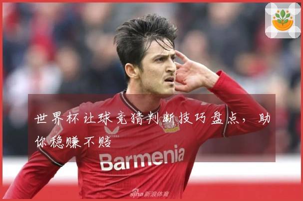 世界杯让球竞猜判断技巧盘点，助你稳赚不赔
